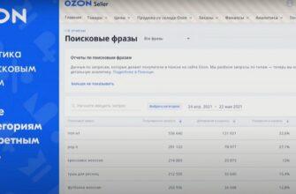 Интерфейс рекламной кампании Ozon 2025 примеры форматов и аналитика